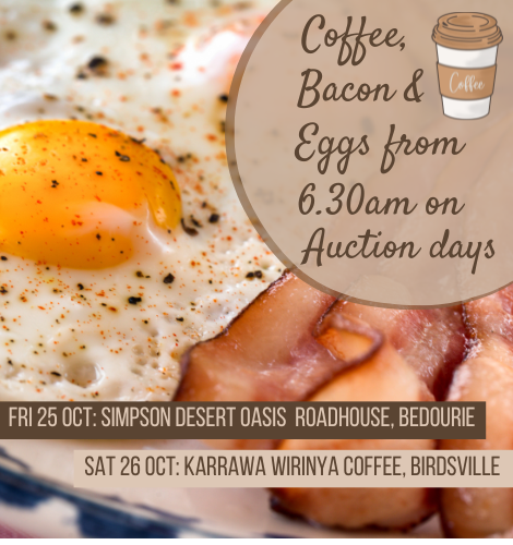 Auction brekky