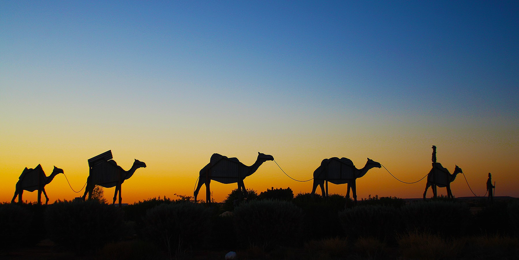 Camel train birdsville qld photographer brett stanley