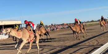 Bedourie Camel Races