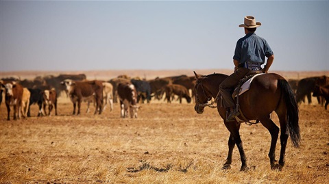 outback_01_2.jpg